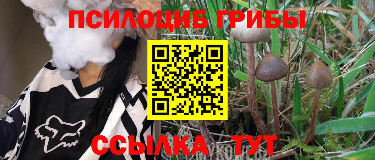 Галлюциногенные грибы MAGIC MUSHROOMS  Псилоцибиновые грибы Psilocybe  Маркс 